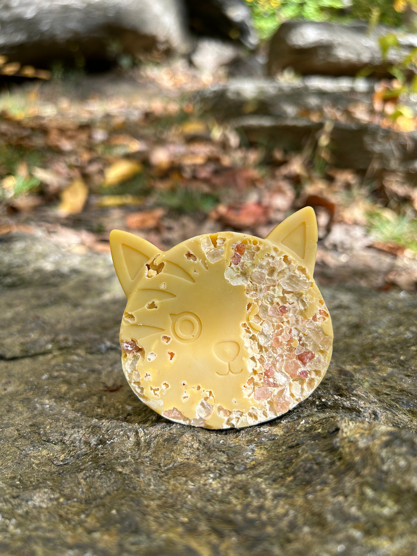 CITRUS+ PINK SALT CAT SOAP