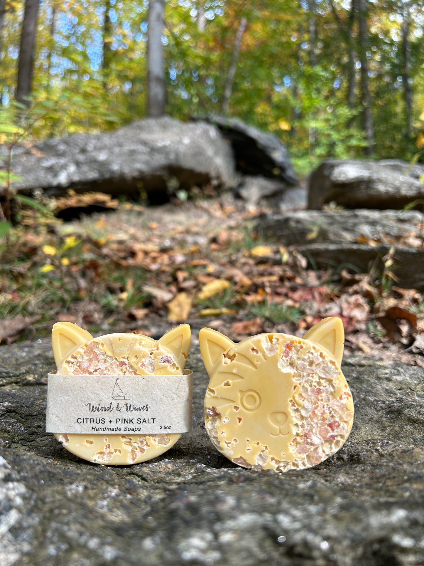 CITRUS+ PINK SALT CAT SOAP