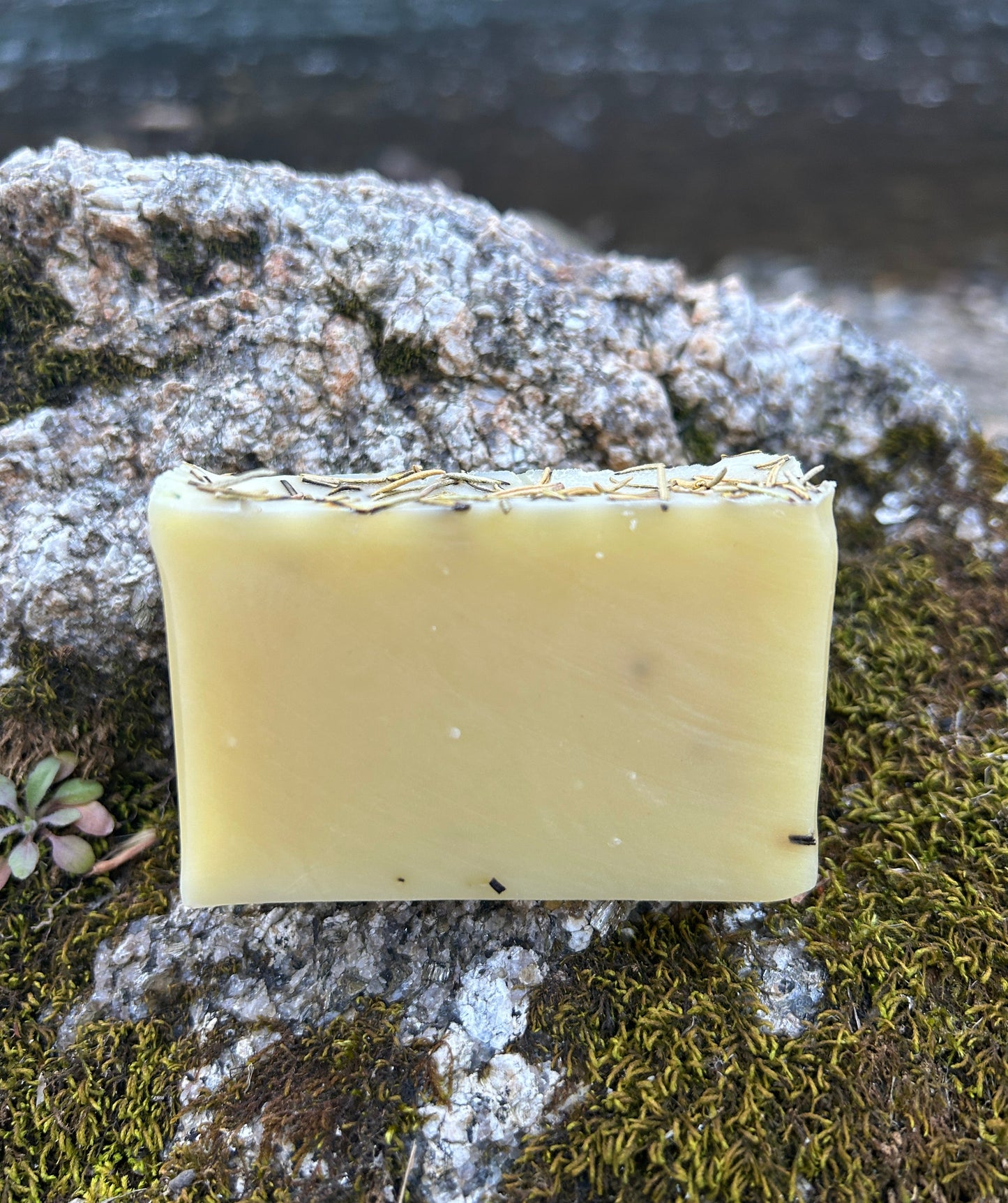 ROSEMARY + PINE SOAP