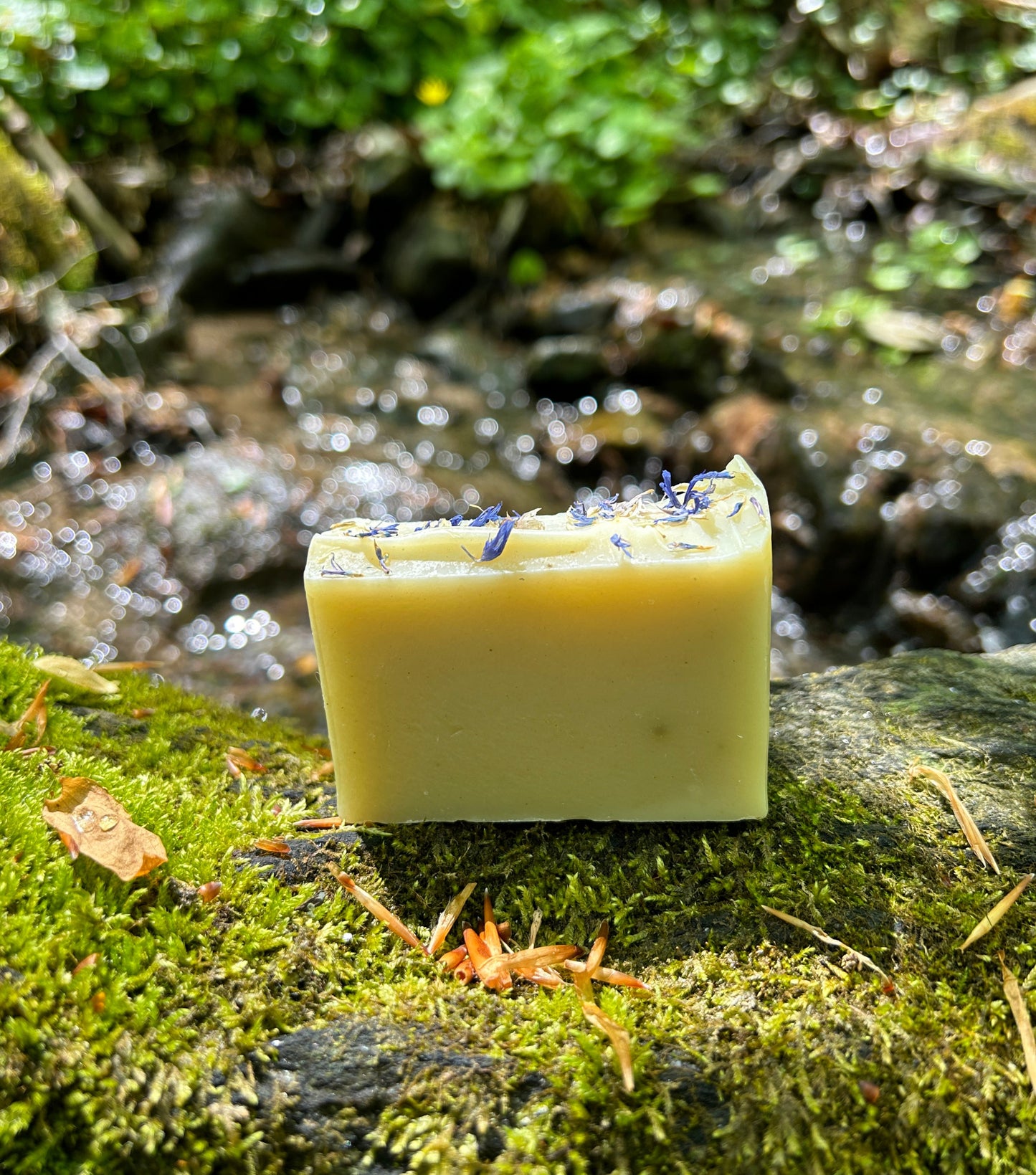 ANISE + LIME SOAP